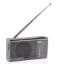 ROXY RXY-170FM CEP TİPİ MİNİ ANALOG RADYO resmi