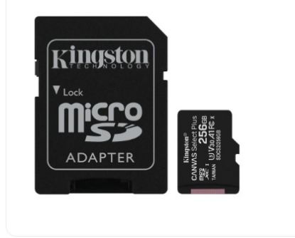 Kingston SDCS2/256GB 256GB micSDXC Canvas Select P resmi