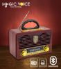 MAGICVOICE MV-115BT USB/SD/FM/BLUETOOTH DEST RADYO resmi
