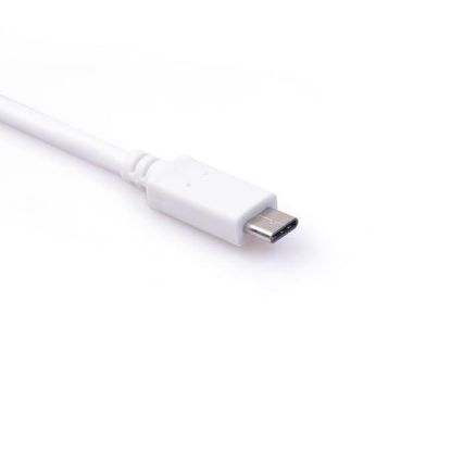 OEM Usb 3.1 Type C To Vga Adaptör Çevirici resmi